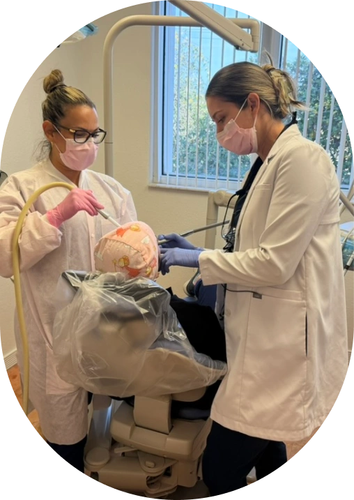 Maintain a Healthy Smile with Comprehensive Dental Exams